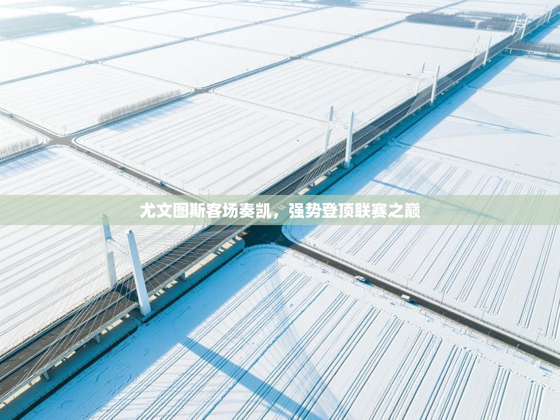 尤文图斯客场奏凯，强势登顶联赛之巅