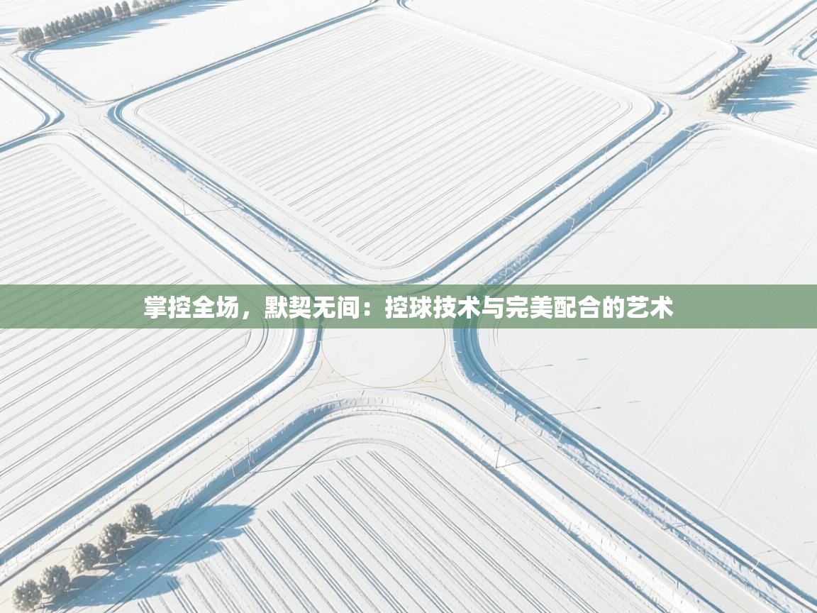 掌控全场，默契无间：控球技术与完美配合的艺术